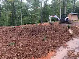 land and lot clearing 