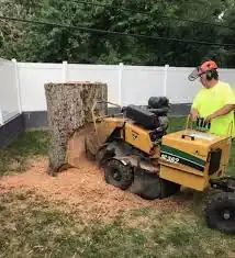 stump grinding before
