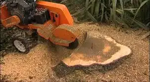 stump grinding cost